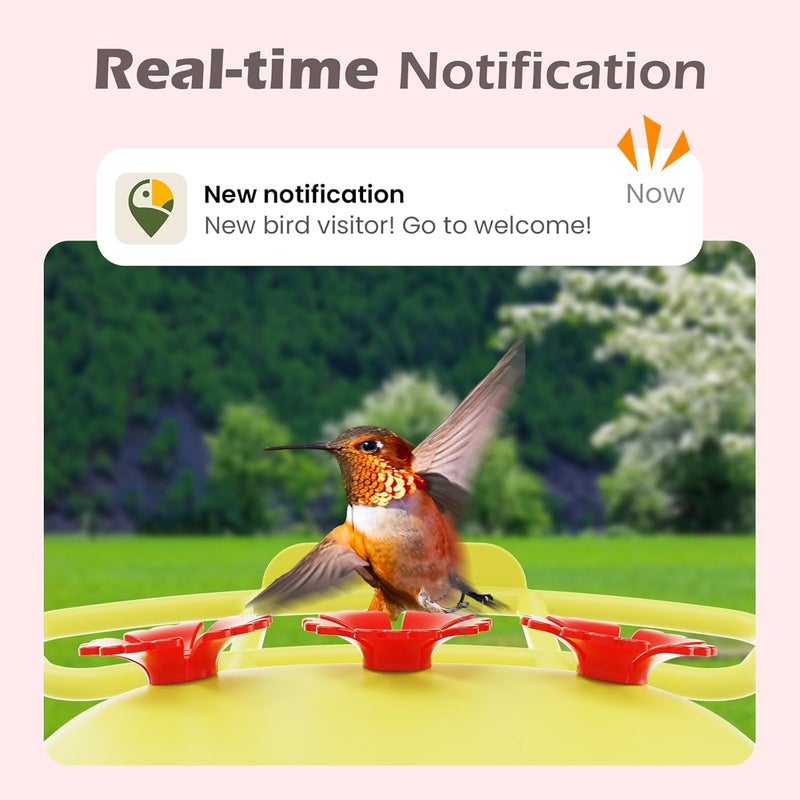 RichBird Smart Hummingbird Feeder with Camera Solar Powered, AI Identify, Instant Notification, Leakproof & Ant Moat, Outdoors Hanging, Idea Gift for Bird Lovers (20 oz) - Image 3
